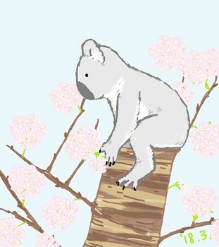 snsコアラと桜の木2.jpg